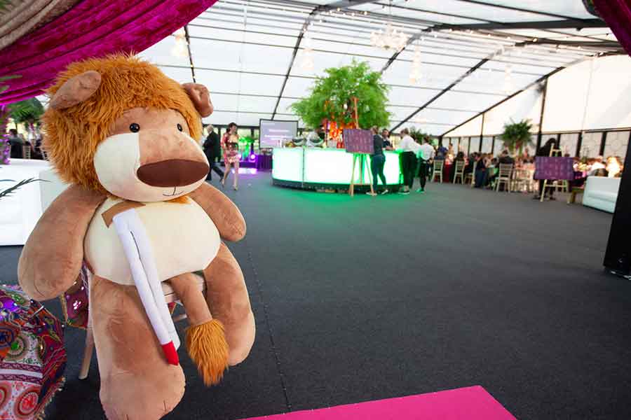 Fews Orangery Structure at Hagley Hall